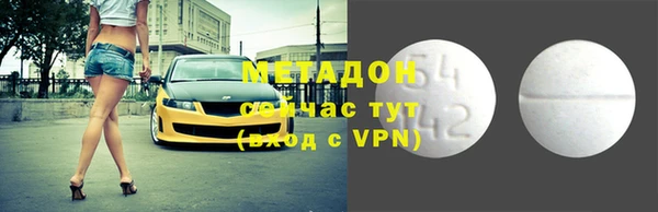 гашик Алексин