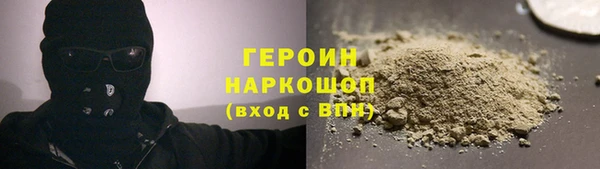 гашик Алексин
