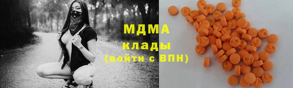 гашик Алексин