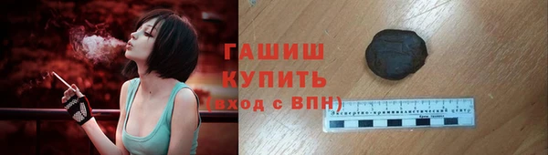 гашик Алексин