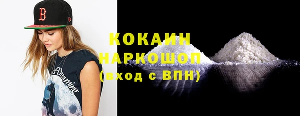 гашик Алексин