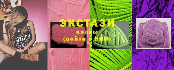 гашик Алексин