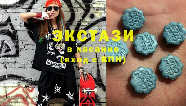 гашик Алексин