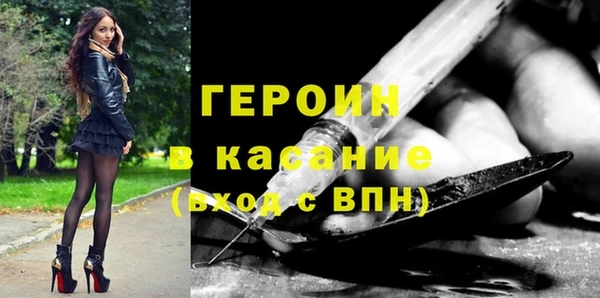 гашик Алексин